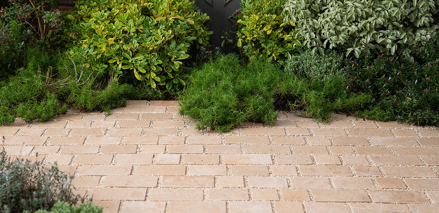 Avignon Cobble